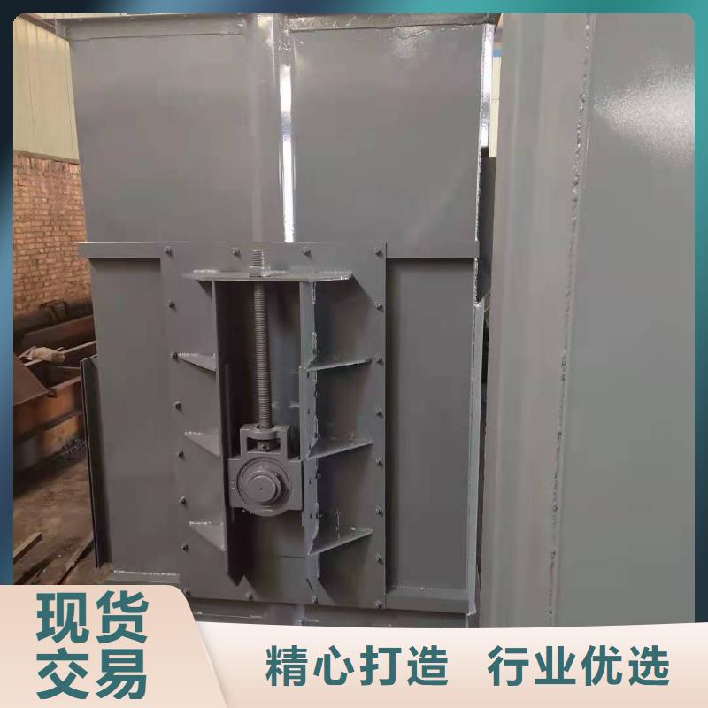 NE50板鏈斗提機價格歡迎咨詢