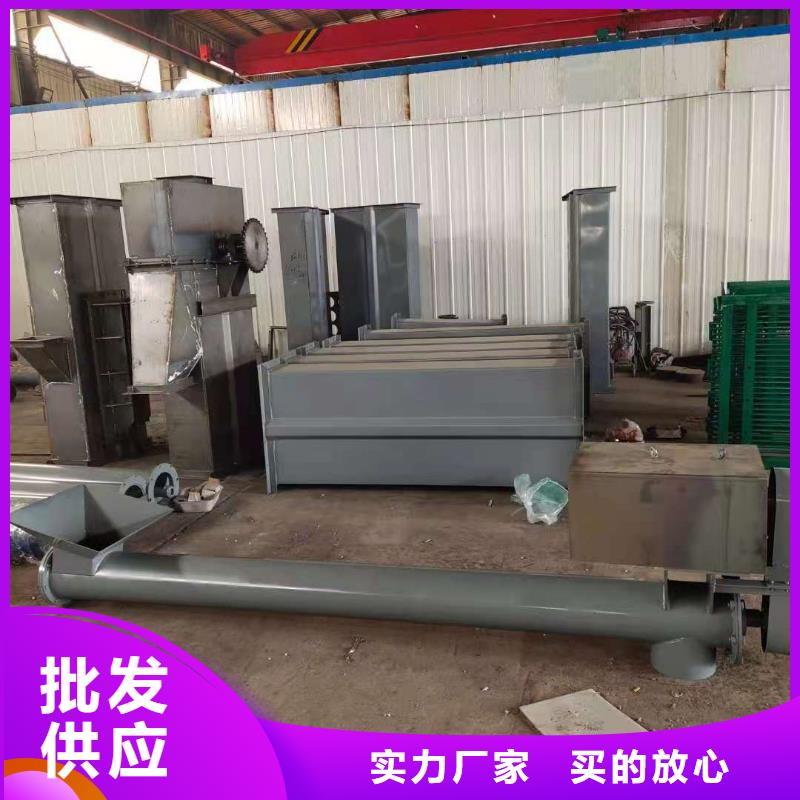 TD200斗式機專業生產廠家