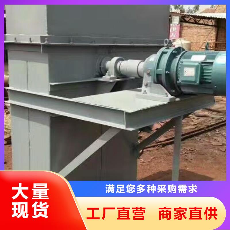 TD200斗式機廠家現貨價格