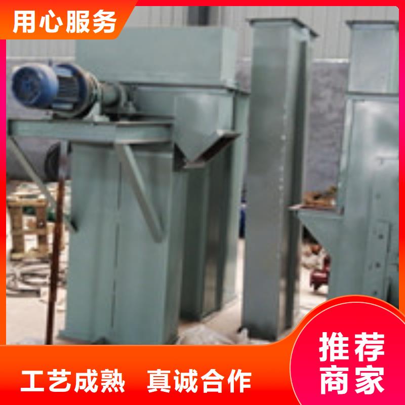 TD鋼絲膠帶型斗式機工廠直銷
