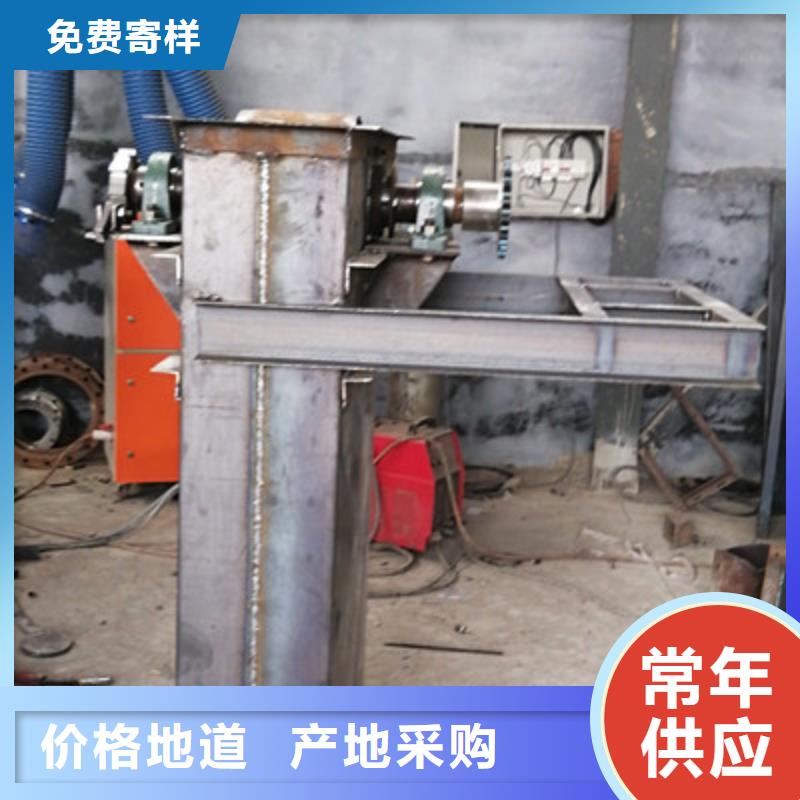 TD200斗式機(jī)可定制