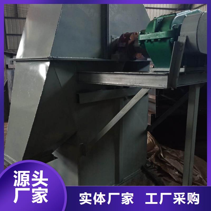 NE100鏈板斗式機(jī)價(jià)格行情