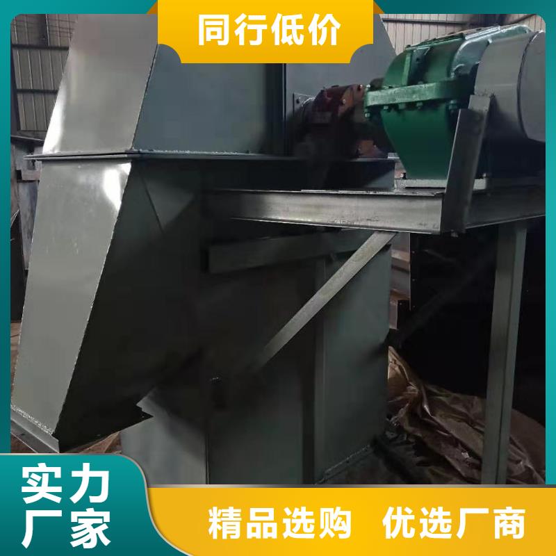 TD鋼絲膠帶型斗式機價格廠家定做
