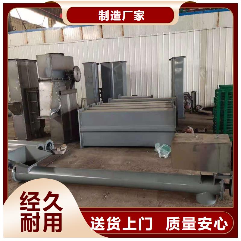 NE板鏈型斗式機價格無中間商