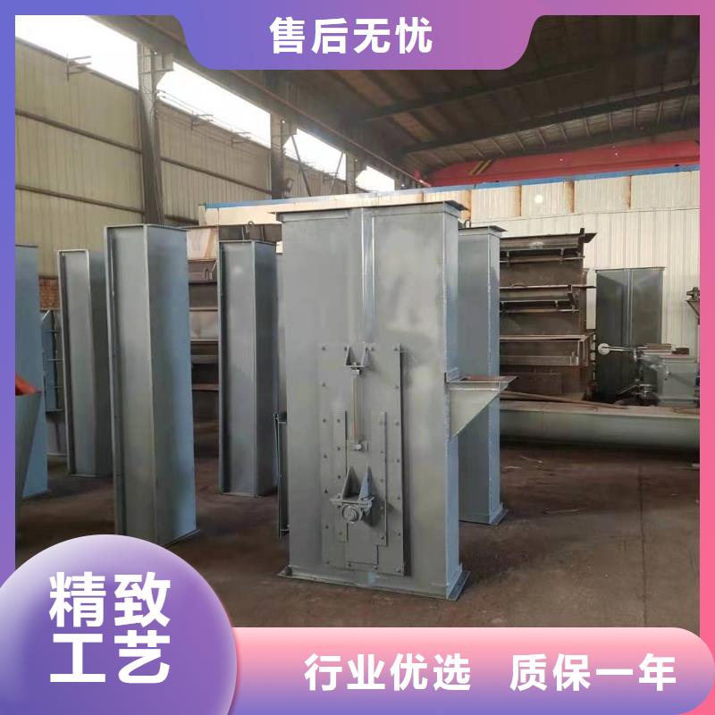 TD200斗式機專業生產廠家