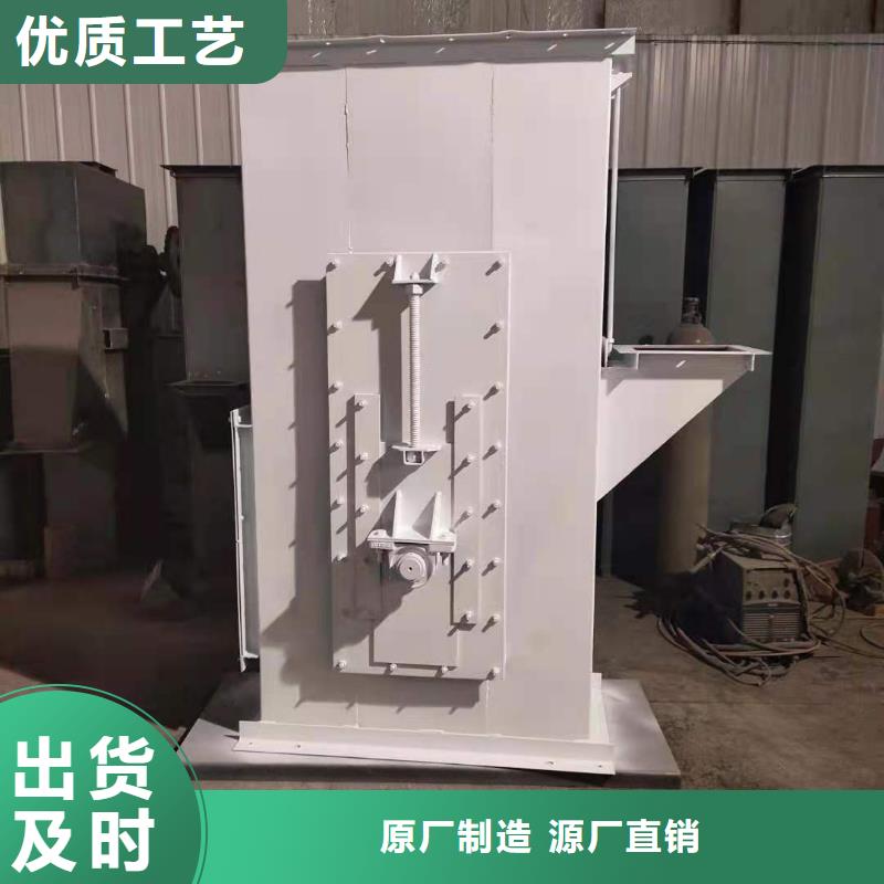 NE100鏈板斗式機(jī)質(zhì)優(yōu)價(jià)廉