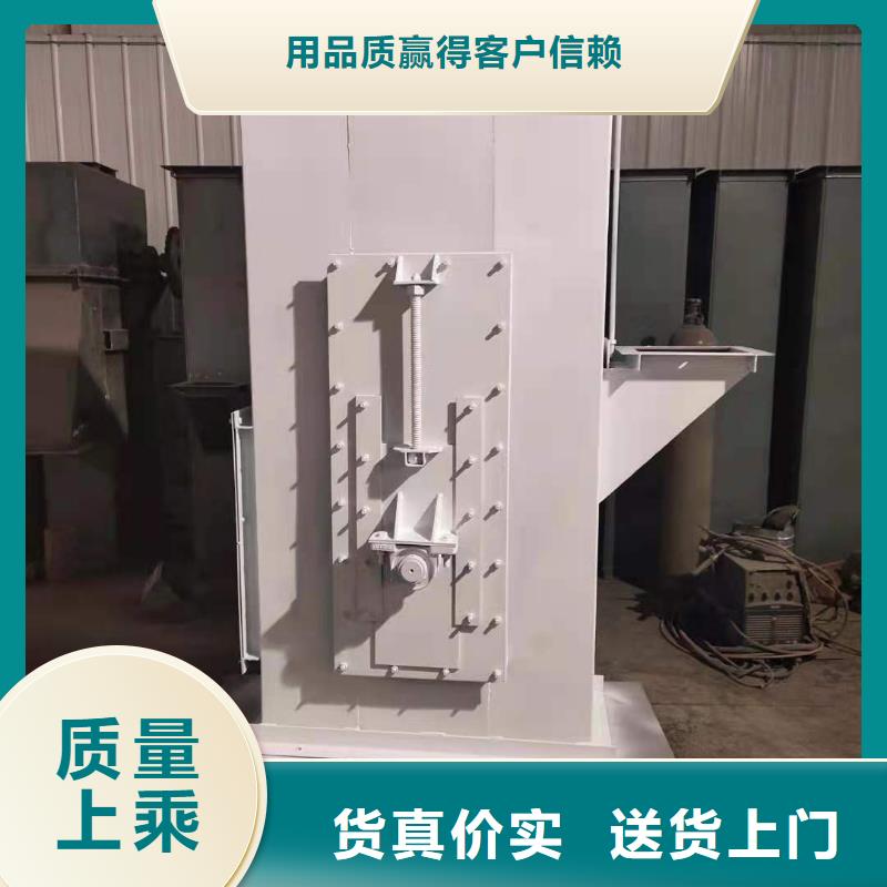 TH圓環(huán)鏈型斗式機(jī)實體廠家