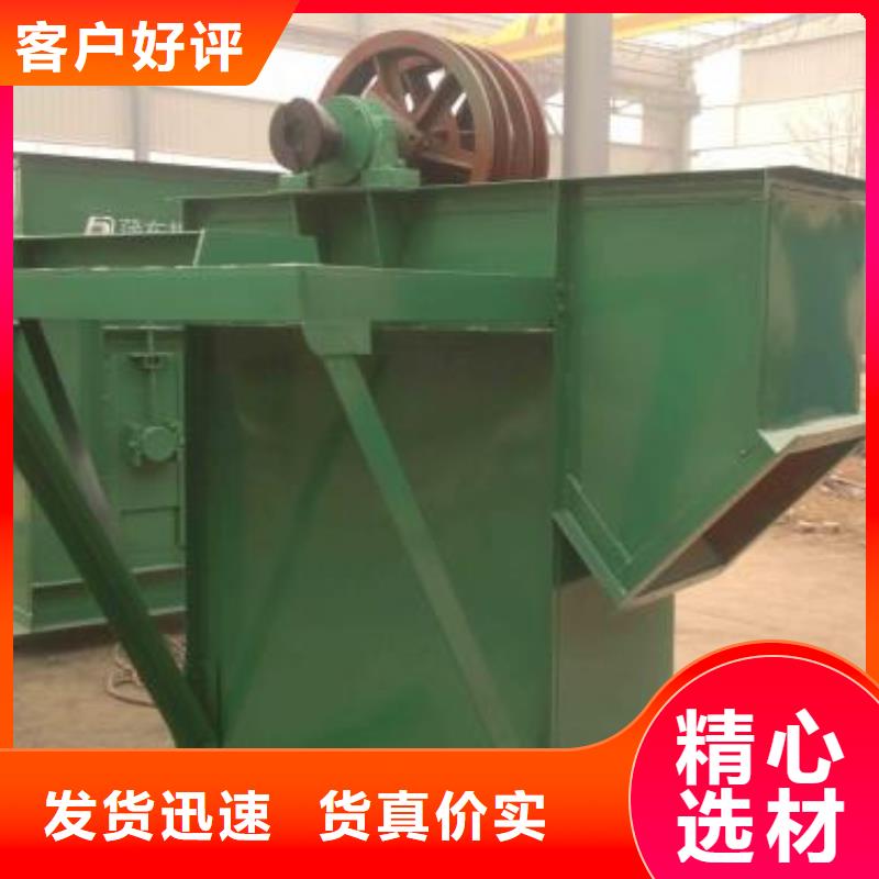 TD200斗式機(jī)可定制
