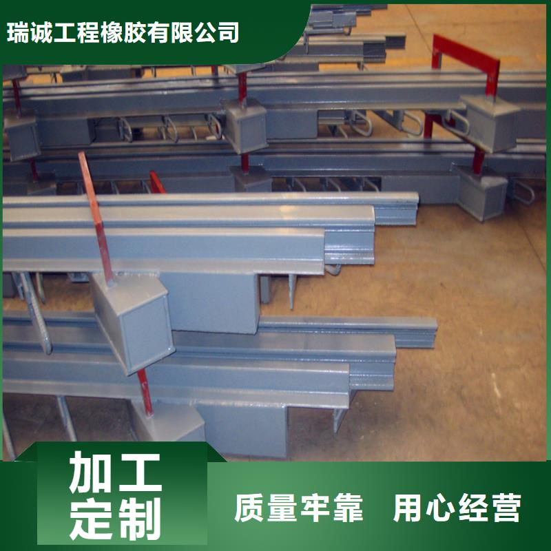 橋梁伸縮縫模數式橋梁伸縮縫用心細節