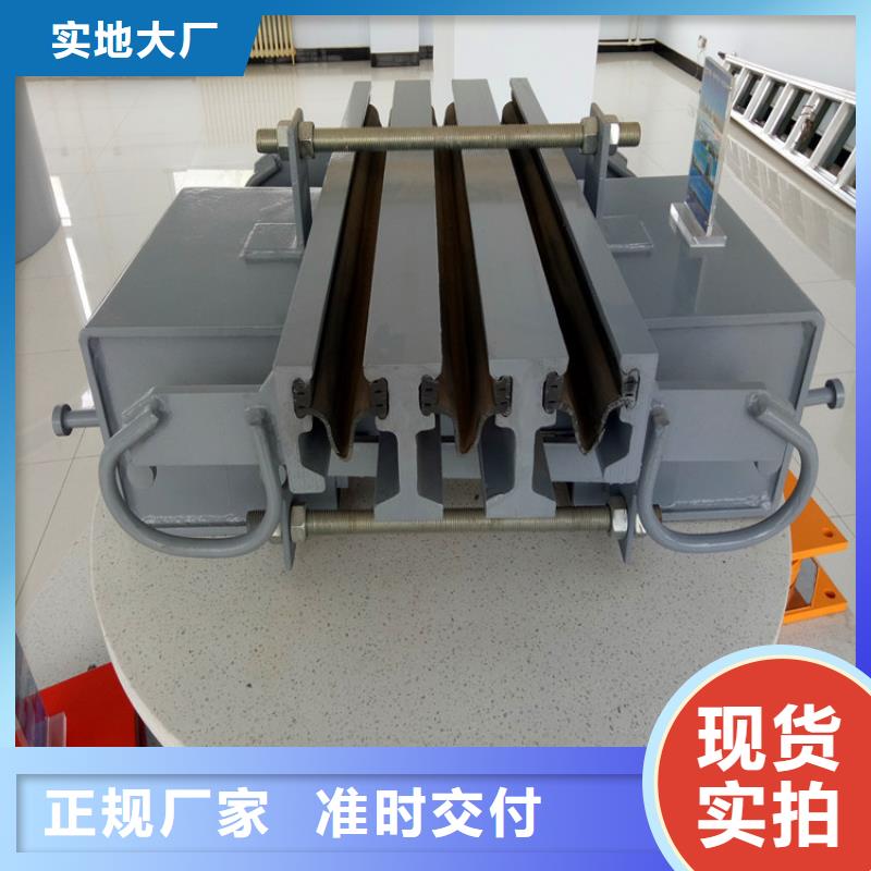 GQF-C40型(CR)錨環型伸縮縫老品牌