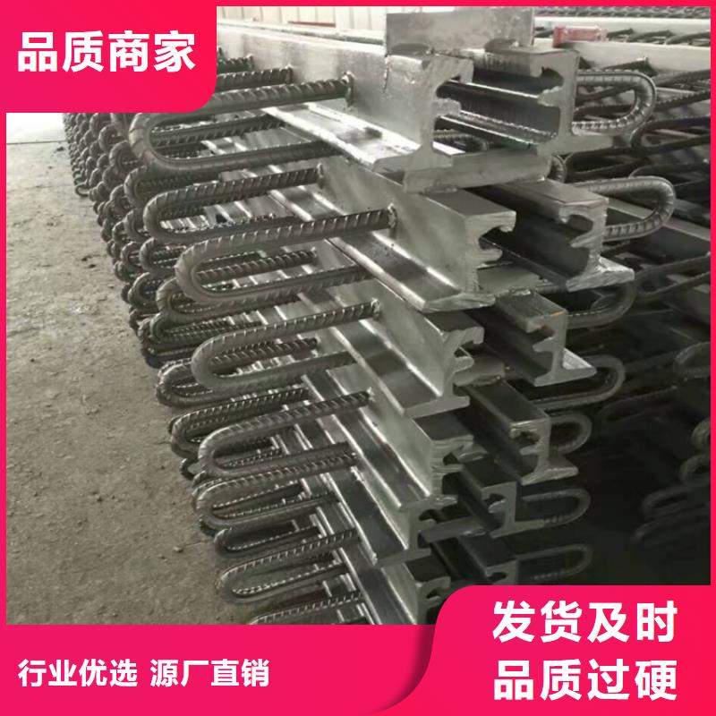 ZSF橋梁伸縮縫裝置質量好發貨快