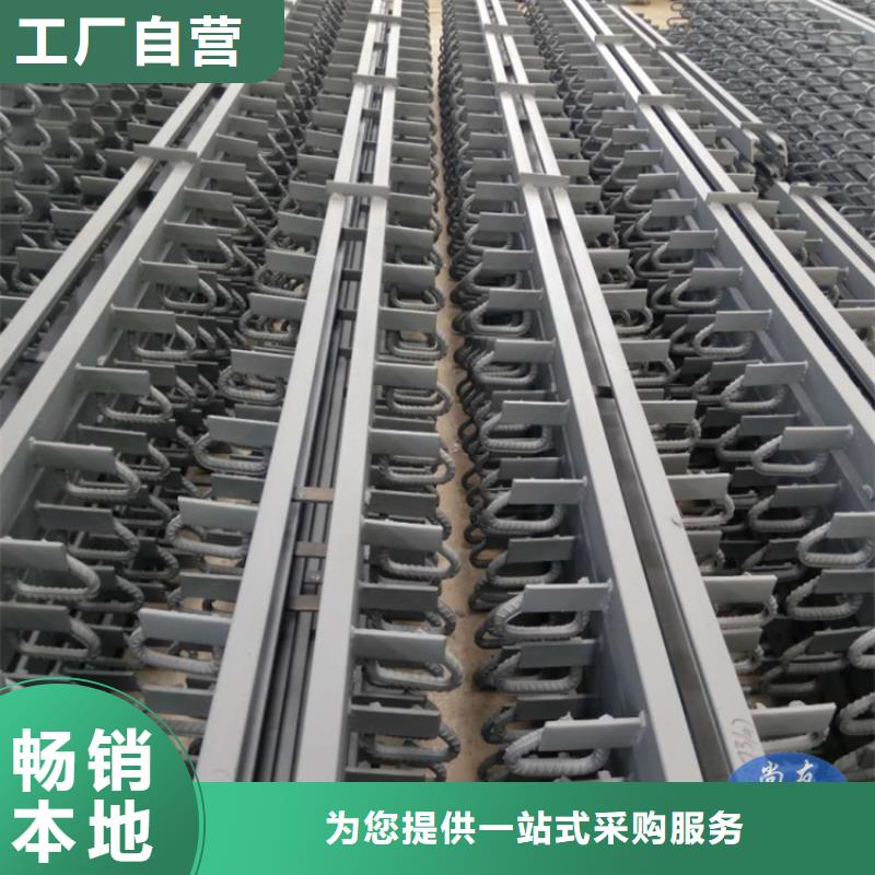 橋梁伸縮縫橡膠止水帶精工制作