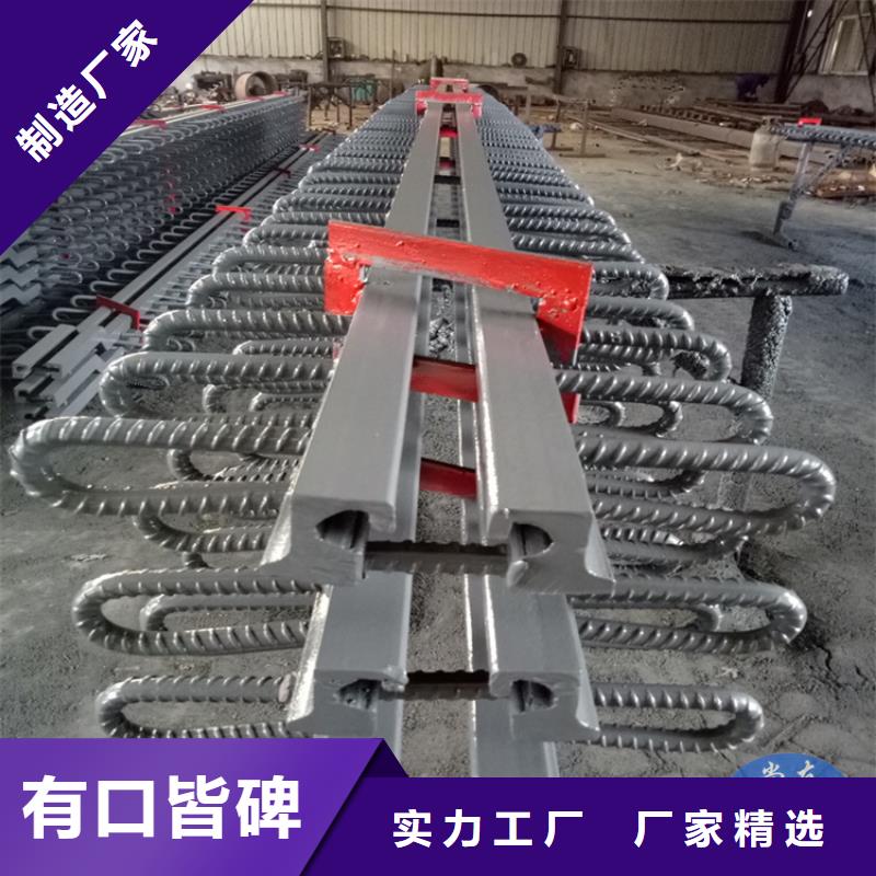 橋梁伸縮縫_網架支座廠家廠家案例