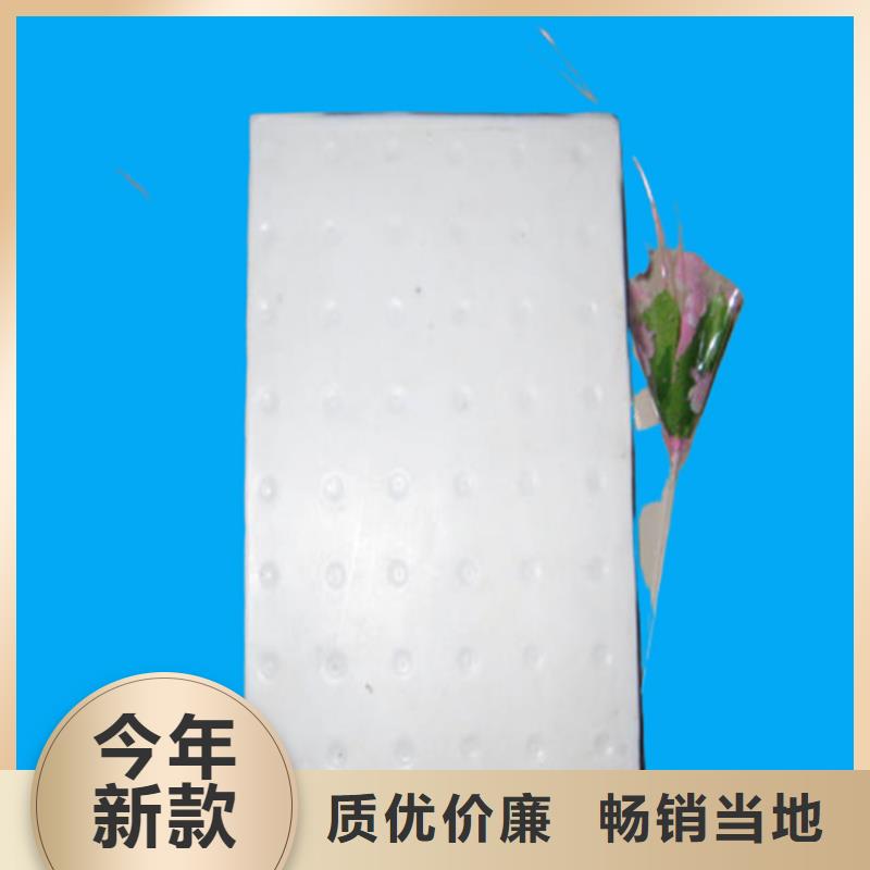 板式橡膠支座_網(wǎng)架支座廠家物流配送