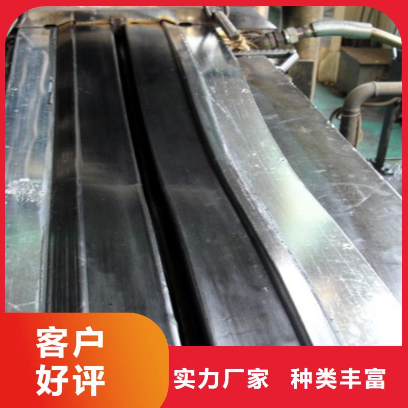 钢结构支座视频-钢结构支座-瑞诚工程橡胶(池州市分公司)服务区域青阳|石台|安庆|黄山|六安|亳州|巢湖|芜湖|淮北