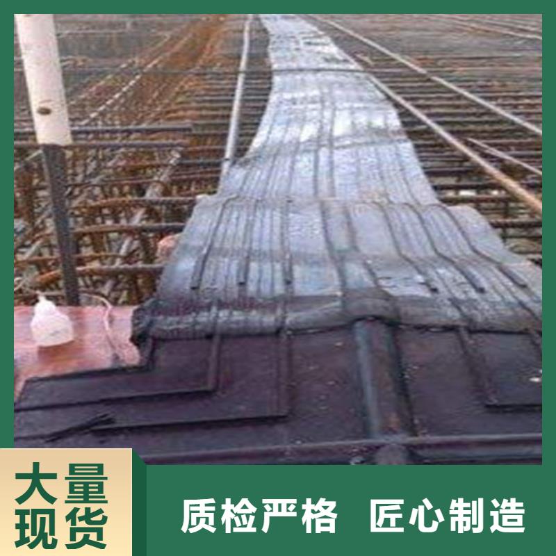 橡膠止水帶,網架支座廠家擁有多家成功案例