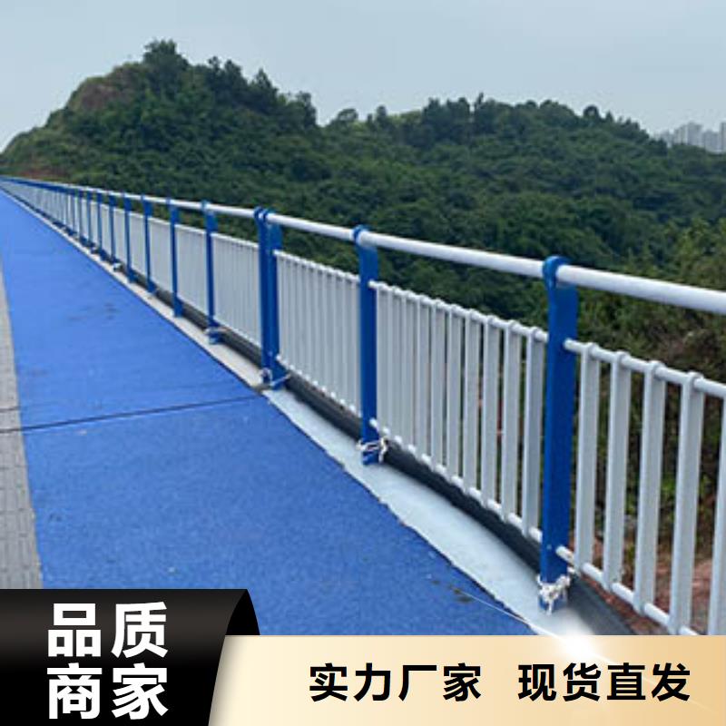人行道栏杆,【道路护栏】实力厂家