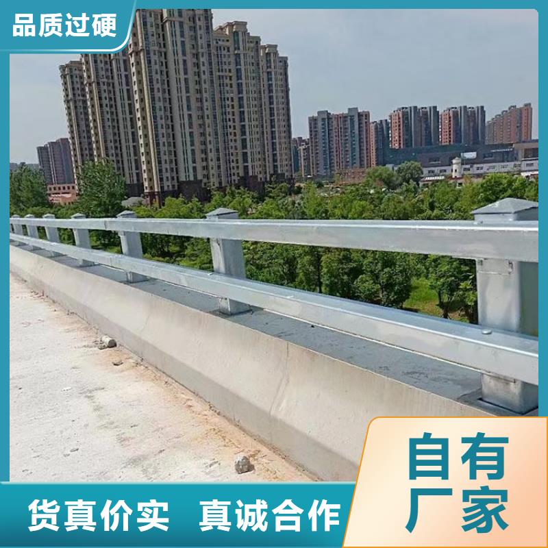 新型桥梁护栏厂家-交货周期短