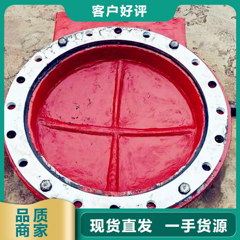 手動(dòng)鑄鐵閘門(mén)2000*2000廠(chǎng)家
