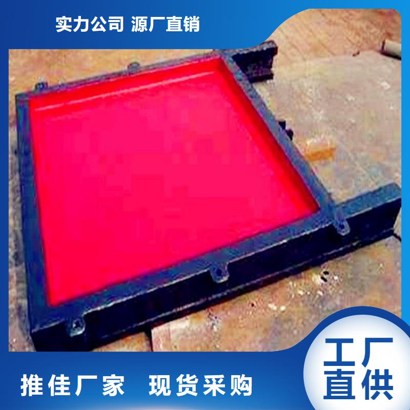 鑄鐵閘門閘門經(jīng)久耐用