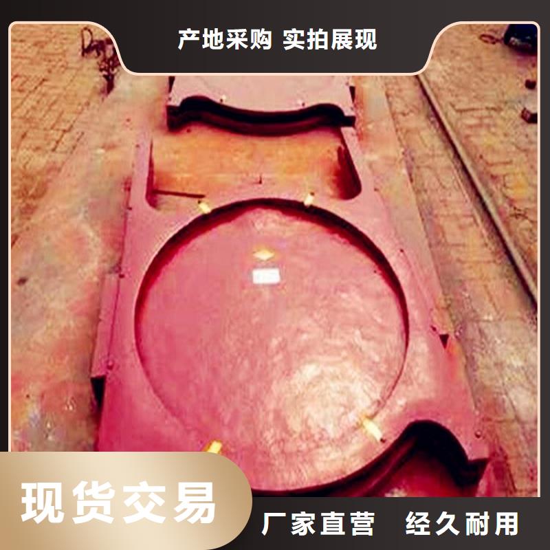 附壁式閘門本地廠家