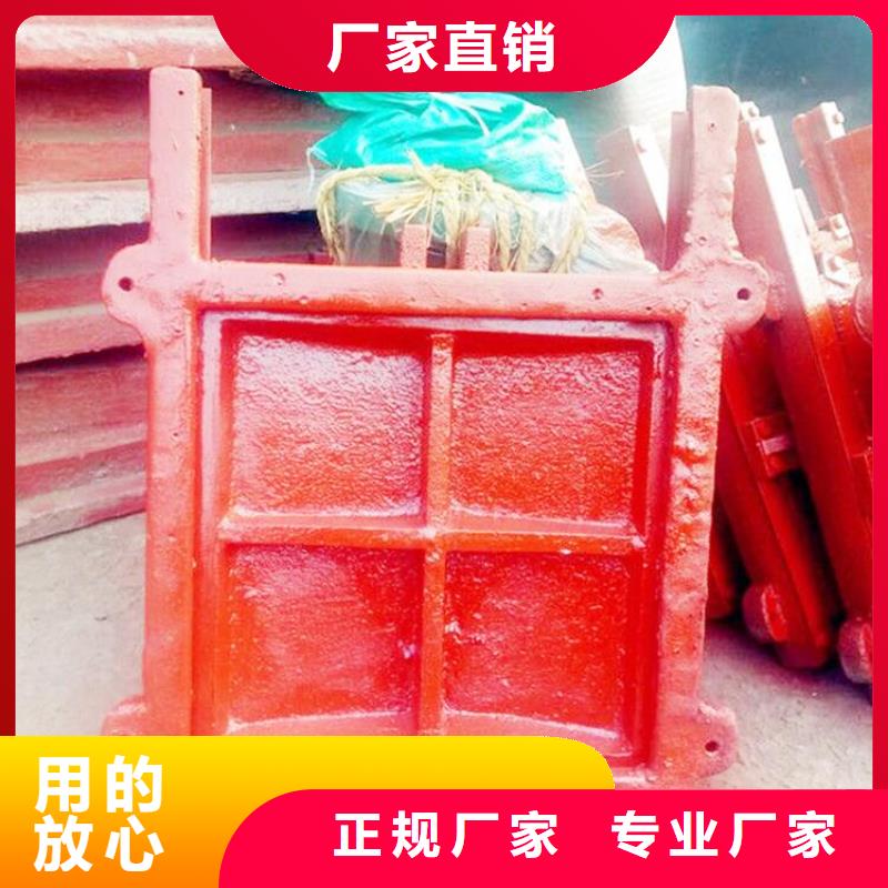 DN800鑄鐵鑲銅閘門生產(chǎn)廠家