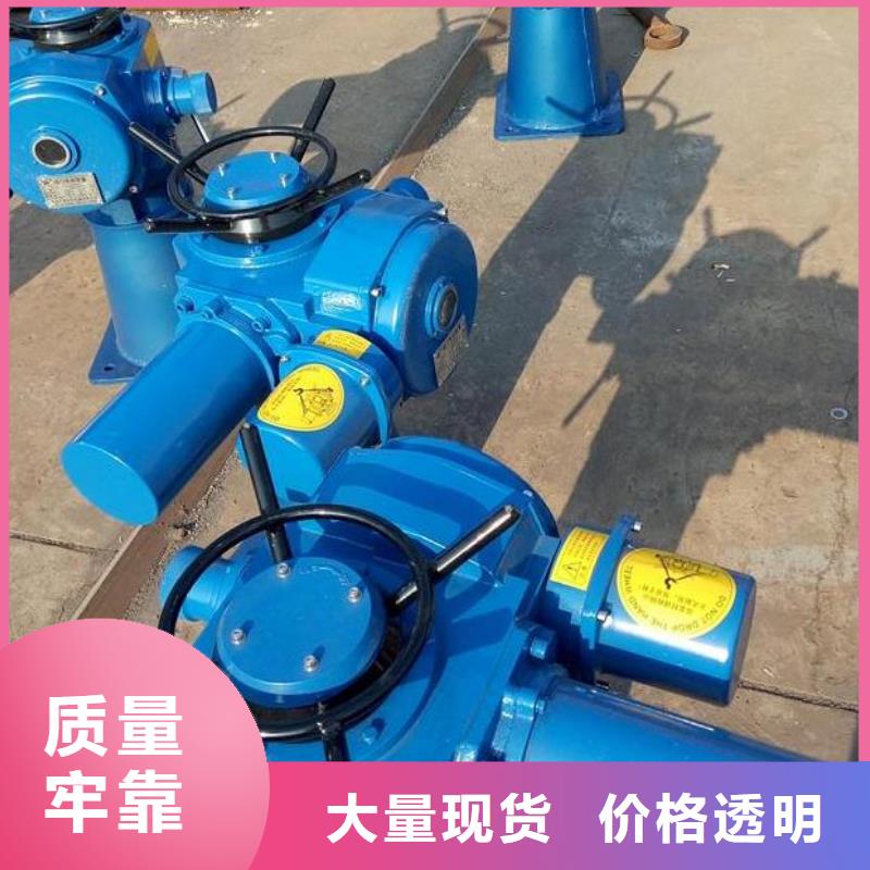 QLD-30KN手電兩用螺桿式啟閉機安裝