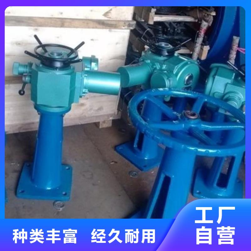 QL30KN螺桿啟閉機制造廠家