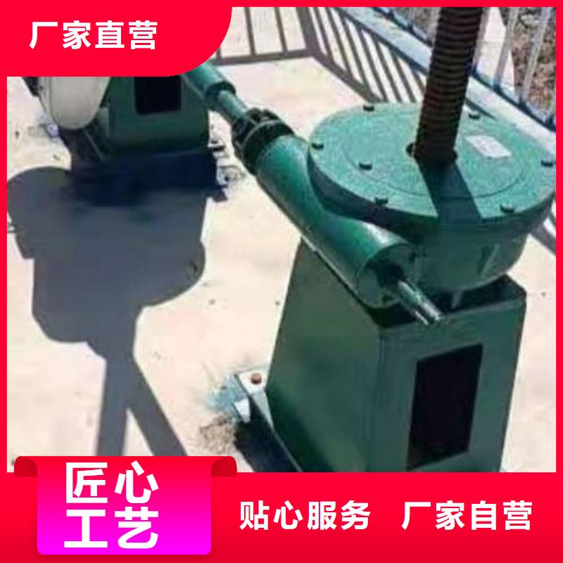 QL螺桿啟閉機(jī)定制