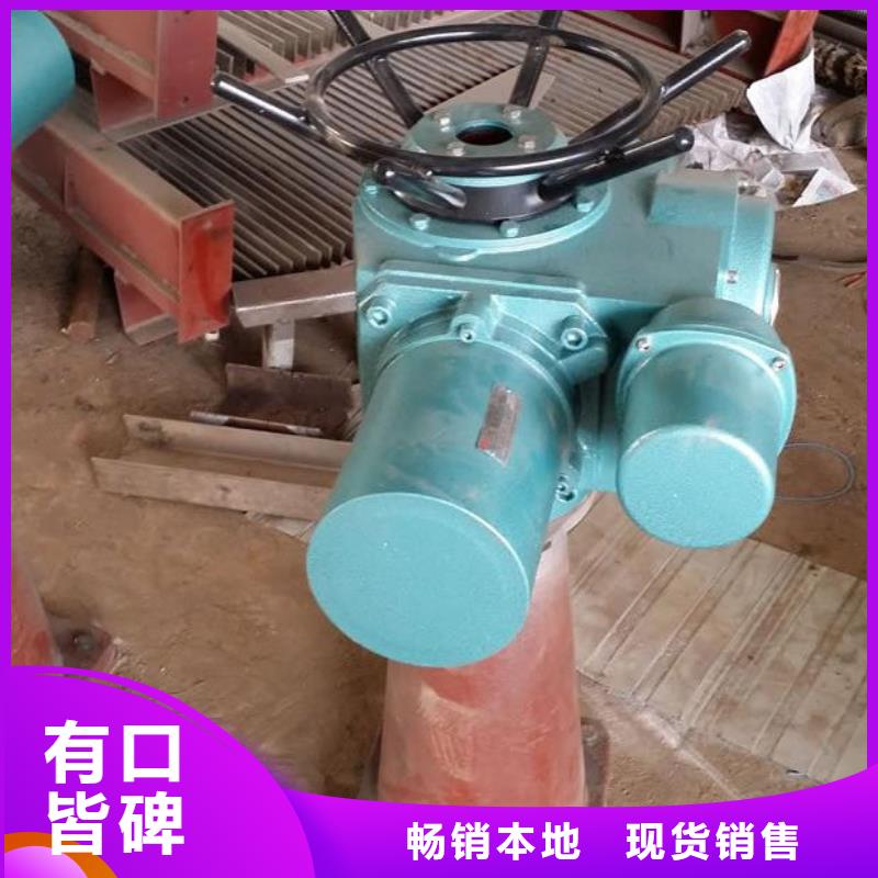 15噸啟閉機來廠考察