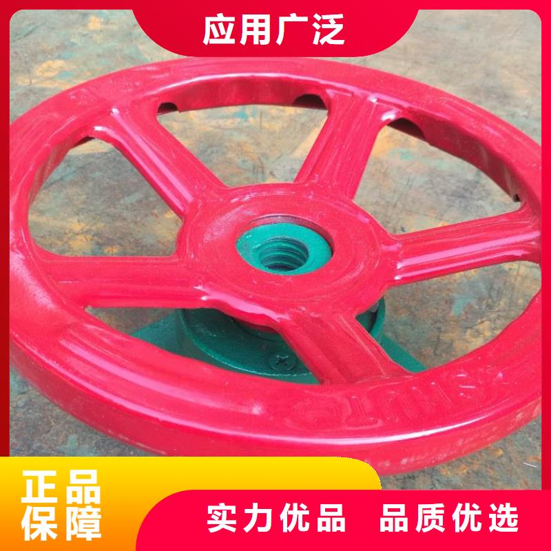  螺桿啟閉機(jī)廠家直銷售后完善