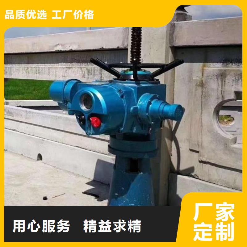 螺杆启闭机一站式厂家