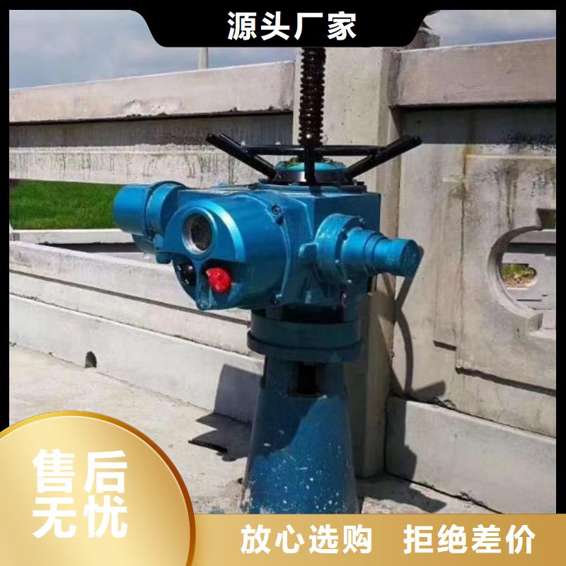 螺杆启闭机机闸一体式闸门厂家货源