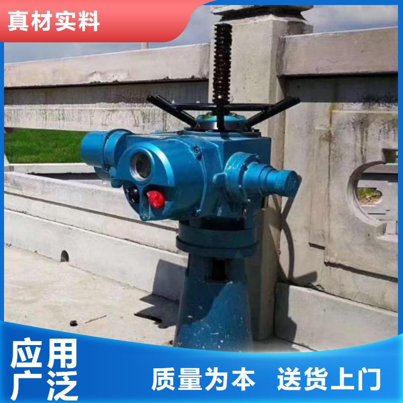 螺杆启闭机_钢制拍门一站式供应厂家