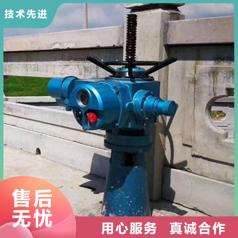  螺桿啟閉機廠家直銷直供