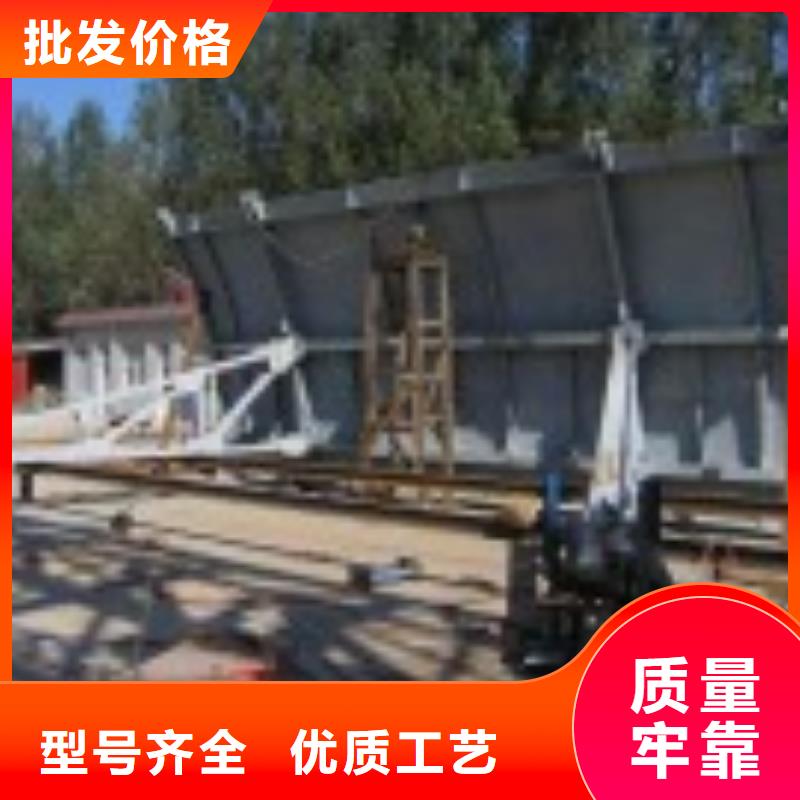 翻板闸门库存齐全厂家直供