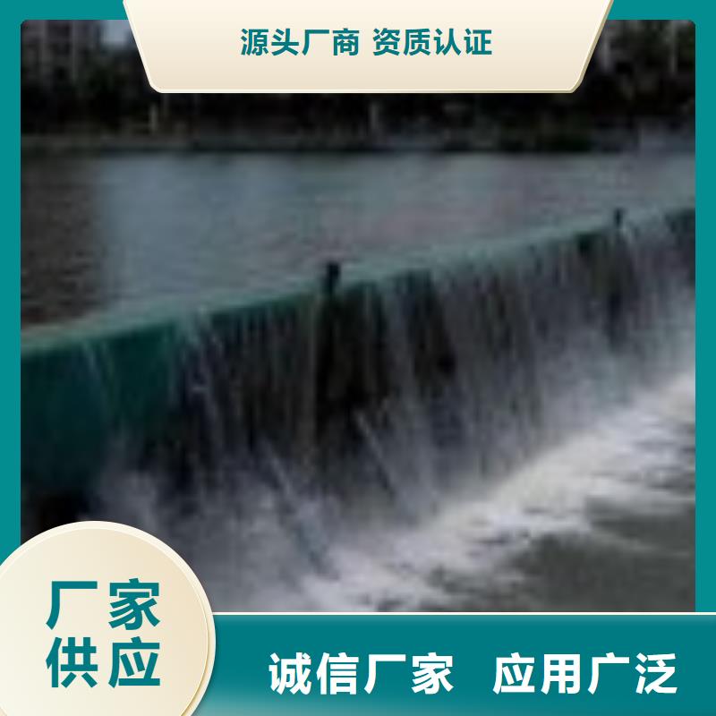 平面鋼閘門規格齊全