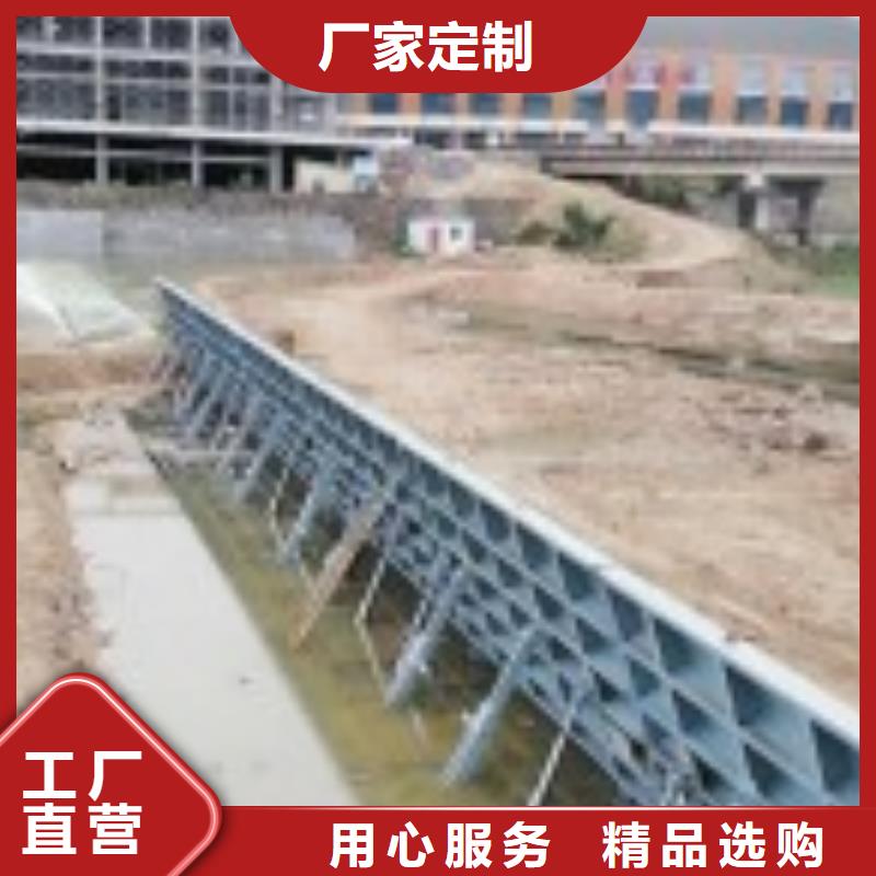 翻板閘門不銹鋼拍門專業(yè)廠家