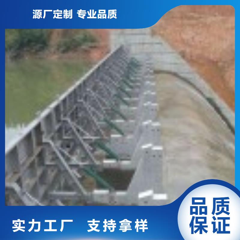 翻板閘門不銹鋼拍門專業廠家