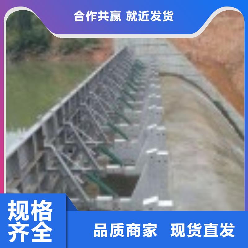 翻板閘門(mén)不銹鋼拍門(mén)專業(yè)廠家