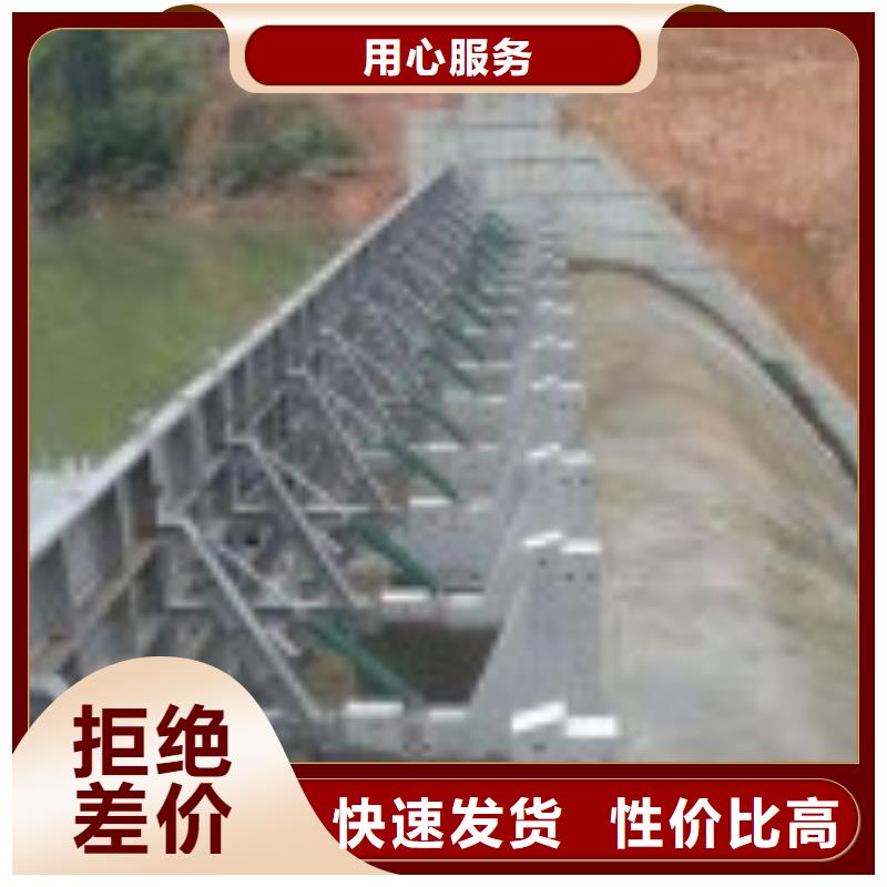 翻板閘門,【攔污柵】品質(zhì)可靠