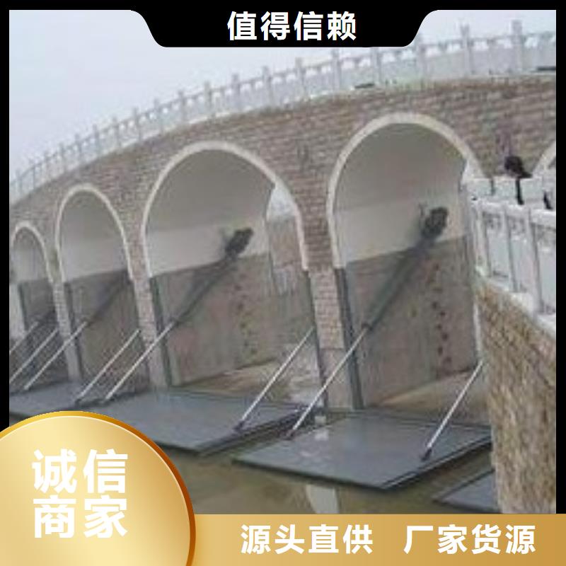  翻板闸门实力公司