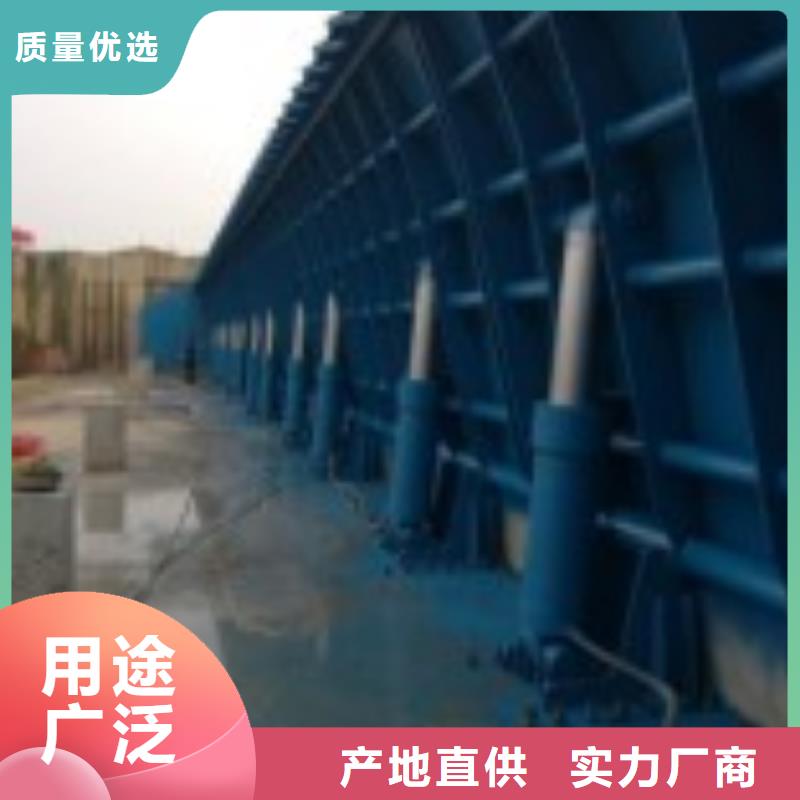 鋼閘門團隊