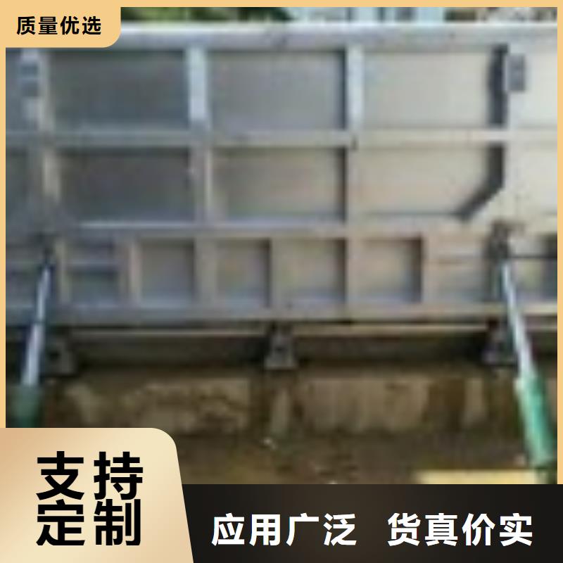  翻板闸门匠心品质
