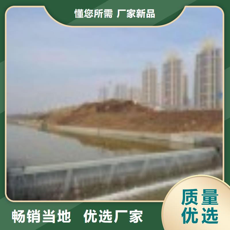  翻板闸门高质量高信誉