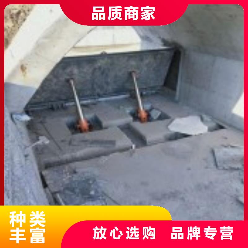 翻板閘門_攔污柵滿足客戶需求