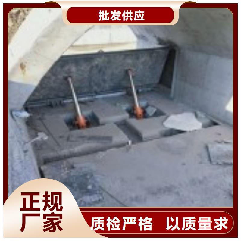 翻板闸门就近发货