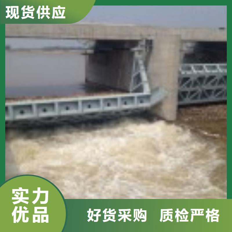  翻板闸门匠心品质