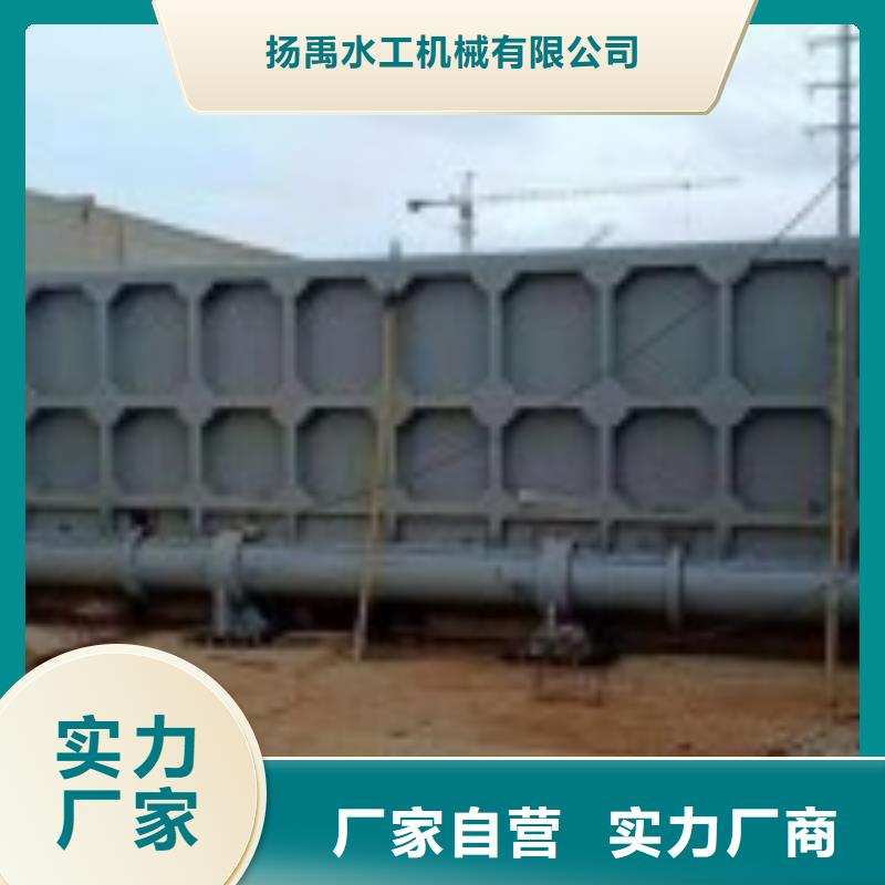 定輪鋼閘門銷售