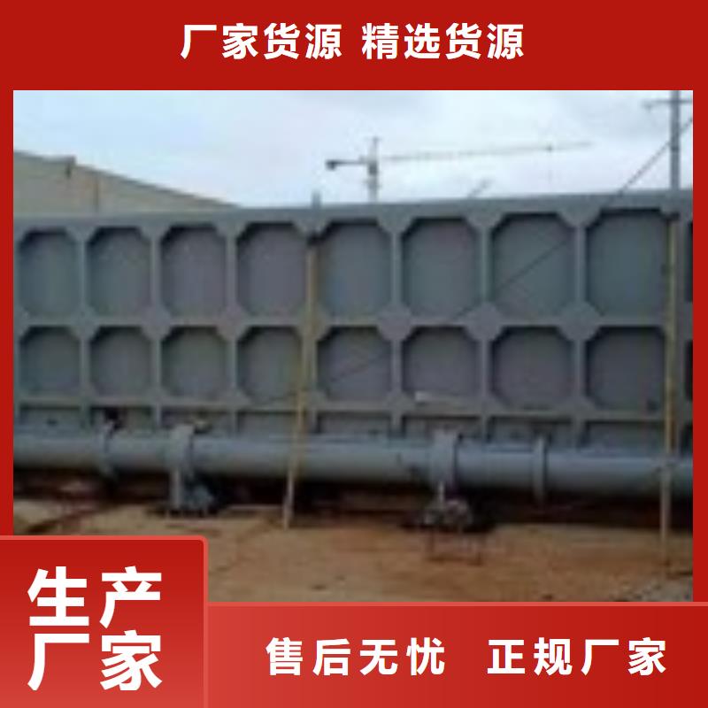 翻板閘門_電動裝置啟閉機每一處都是匠心制作
